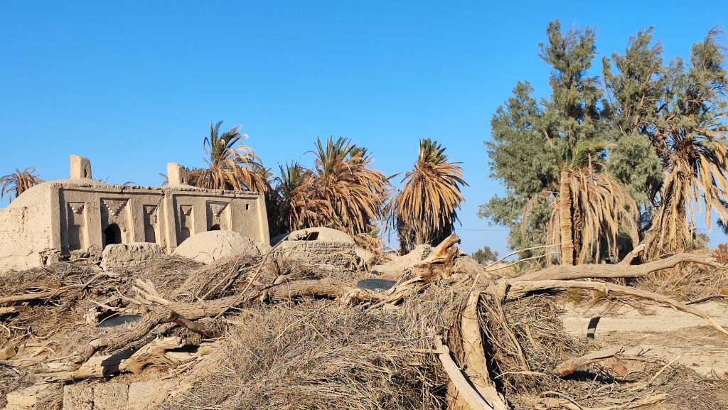 روستای گوری