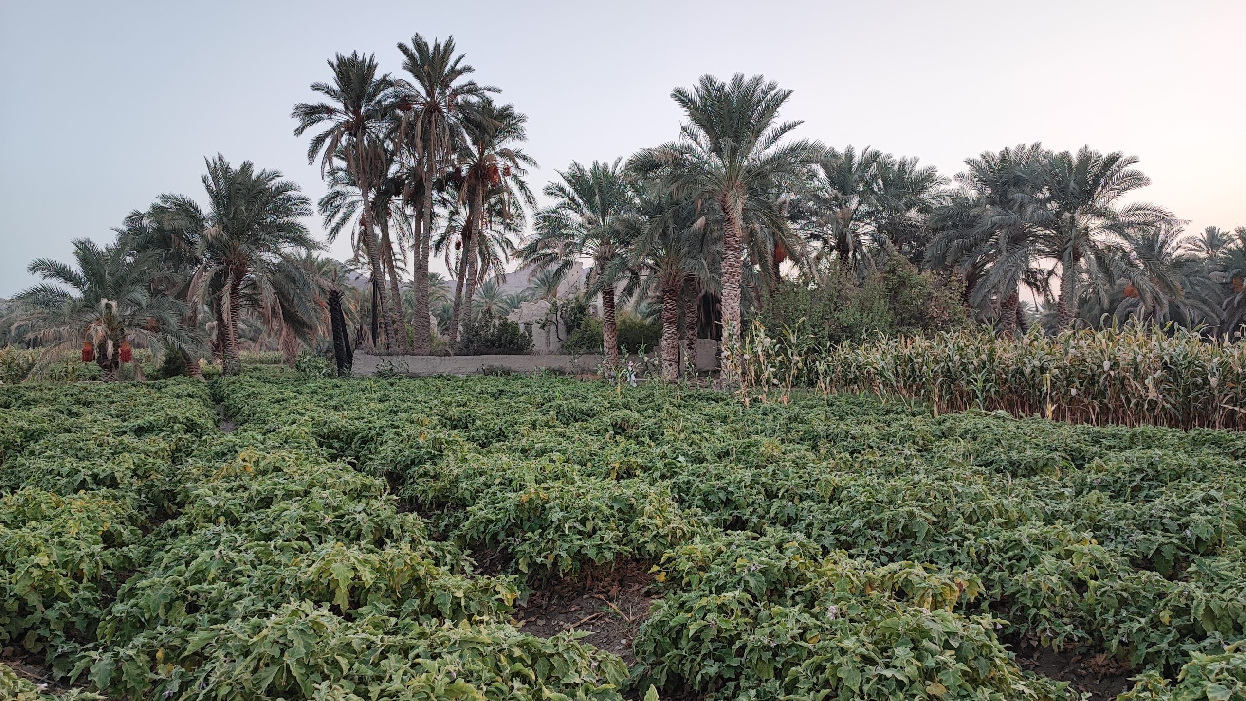 دهستان ناهوک