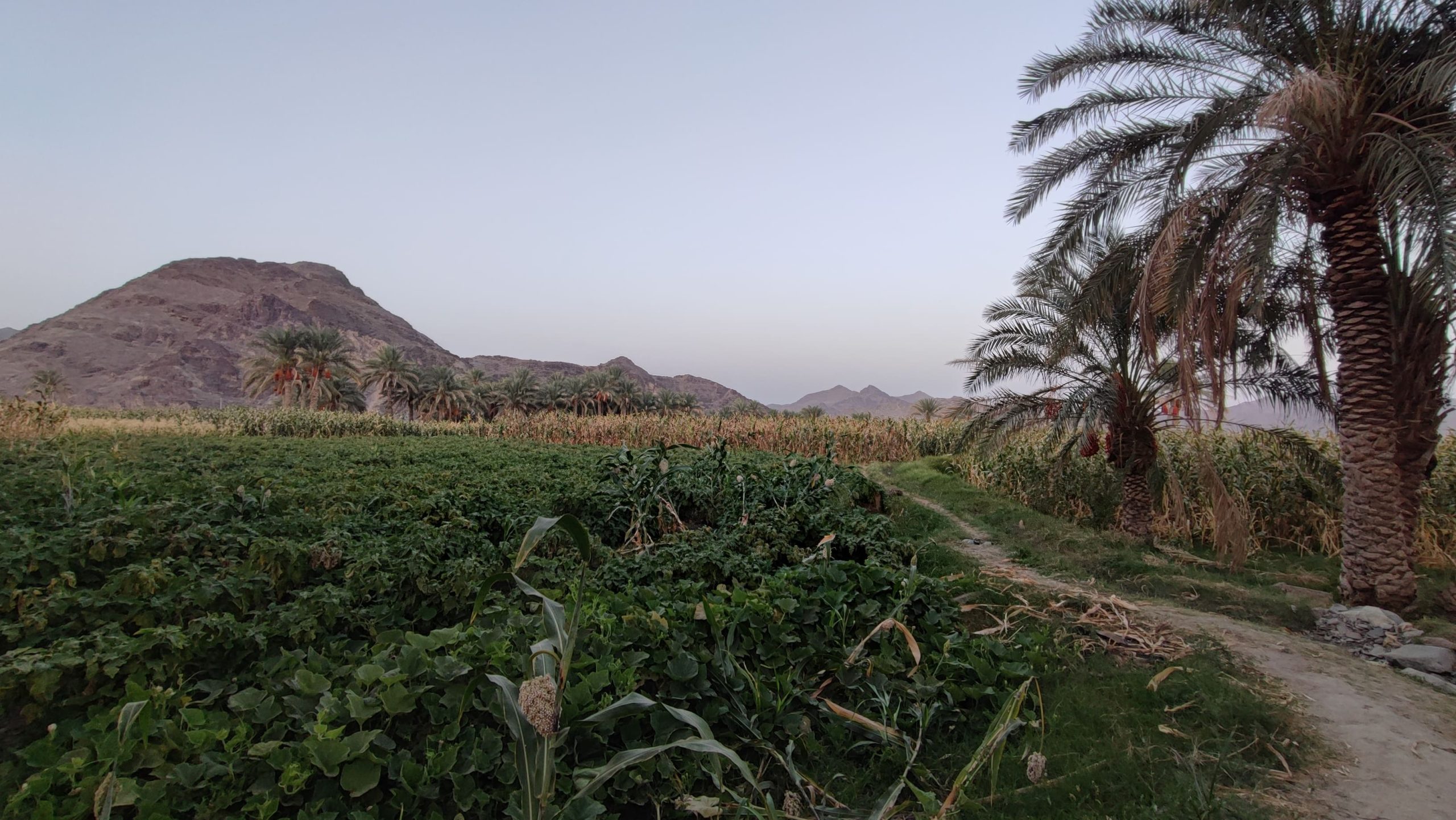 دهستان ناهوک